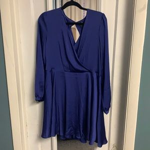 Express Satin Fit and Flare Mini Dress NWOT